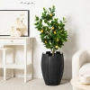 DONICA FIBERGLASS NUVIA- MATTE BLACK 42CM